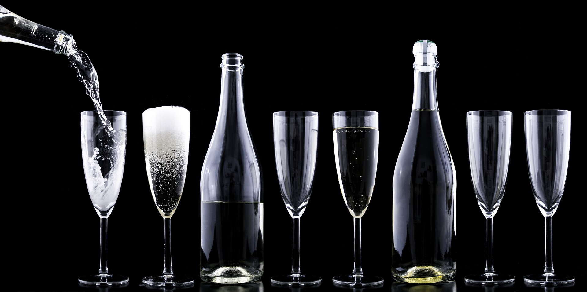 Celebrating Our First Incredible Year in Business